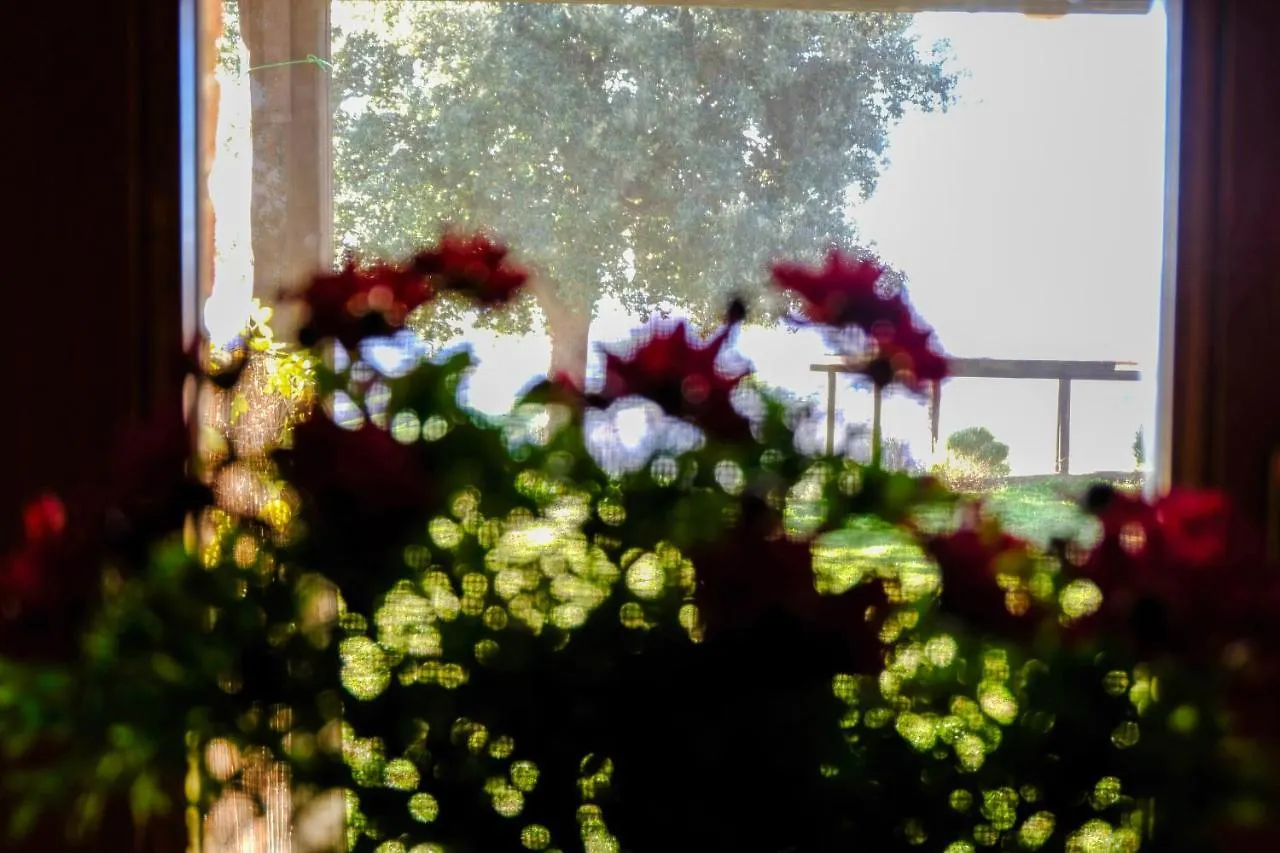 Agriturismo Poggio Monte Saturnia Italy