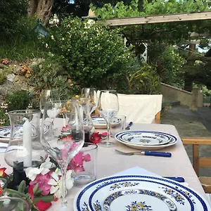 https://holiday-home-irene.hotelitalianriviera.com